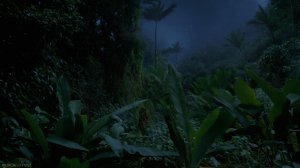 Звуки ночной жизни в джунглях, пения цикад и других звуков ночных существ. 🌙