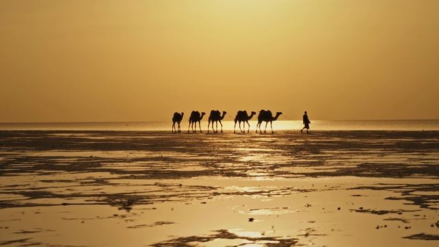 Africa Unseen 8K What people haven't seen! смотреть онлайн