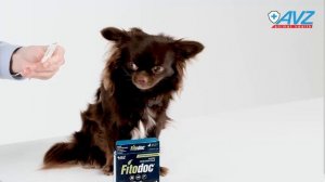 FITODOC® КАПЛИ РЕПЕЛЛЕНТНЫЕ для собак до 10 кг
