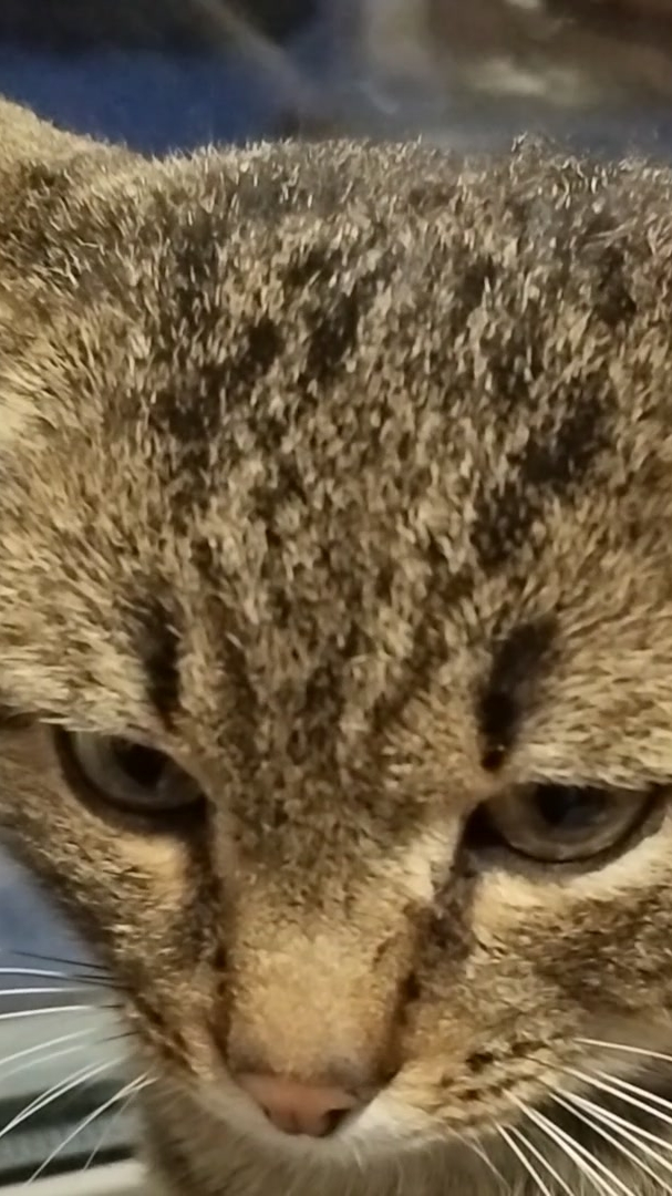 Не грусти, подружка! Мы вместе! Прорвёмся!😻 04-02-2026 смотреть онлайн