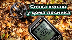 Продолжаю поиски монет у дома лесника.