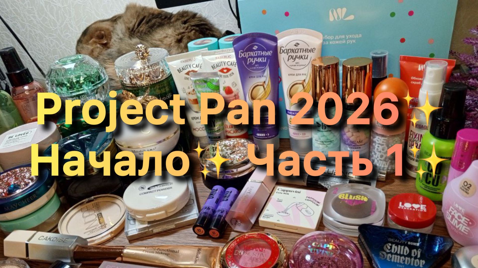 Project Pan 2026 ✨ Начало ✨ Часть 1✨ смотреть онлайн