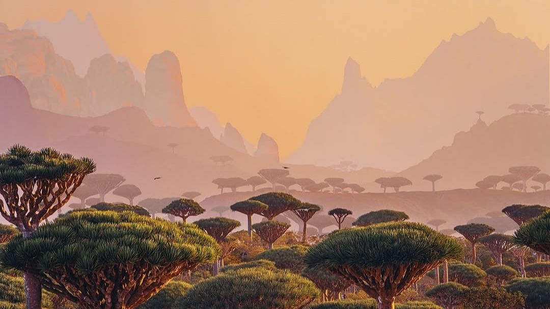 Atish - Jodphur смотреть онлайн