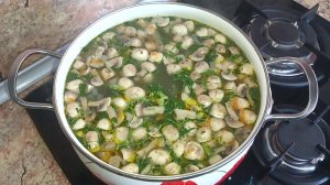Грибной суп. Рецепт полезного, диетического грибного супа с курицей. Грибной суп на куриной основе