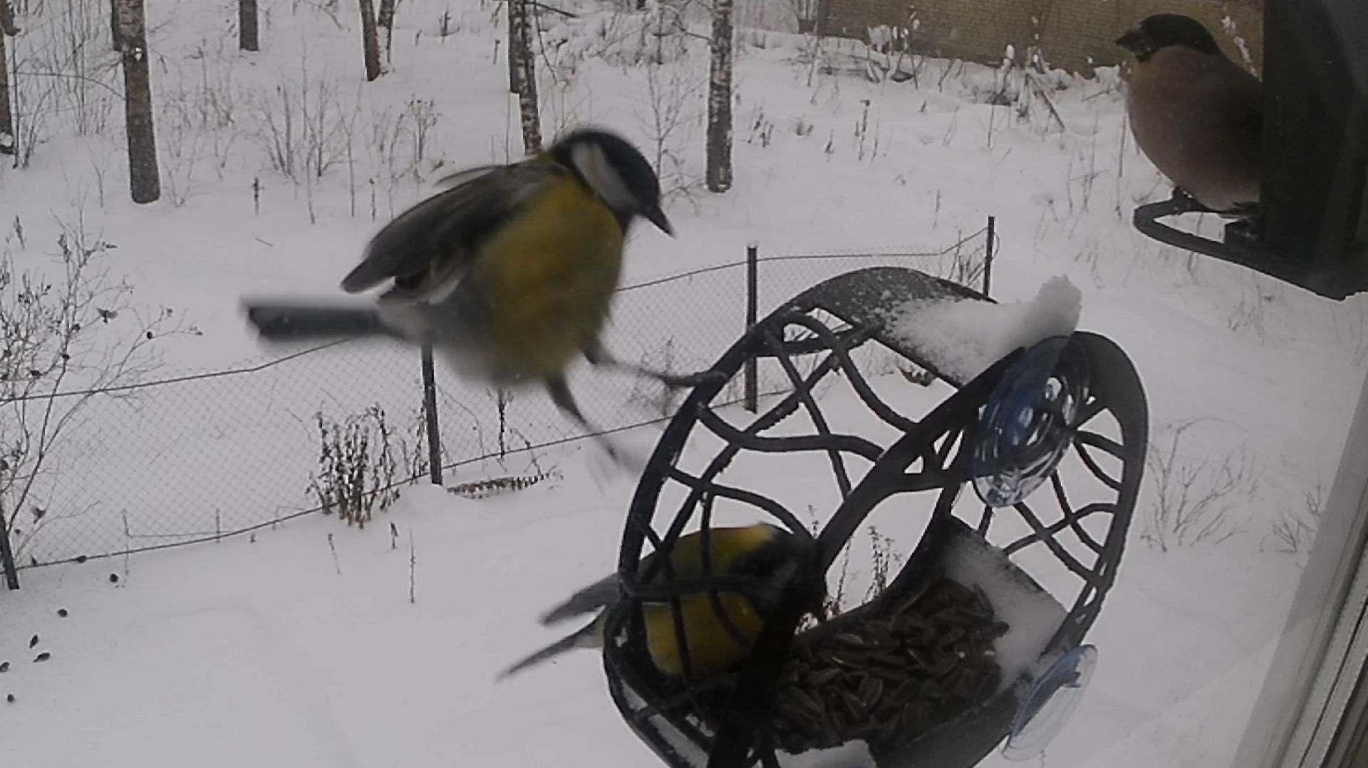 А на утро выпал снег смотреть онлайн