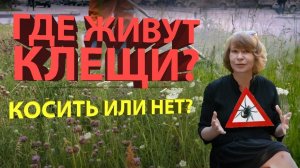 Клещи ползут на излучение смартфонов! Луга — польский эксперимент