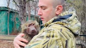 Мы несем гамадрилят домой, а Степа наконец-то ПРИЗНАЛ Дениса после голодовки😍