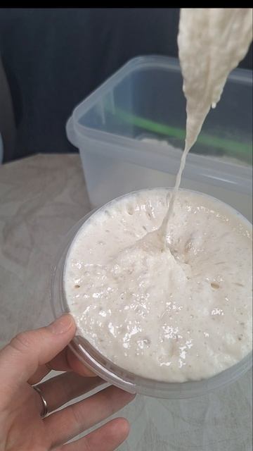 Пшеничная закваска на пике