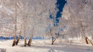 Трансляция богослужения Новоапостольской церкви, г. Воронеж, 08.02.2026, 10:00 мск