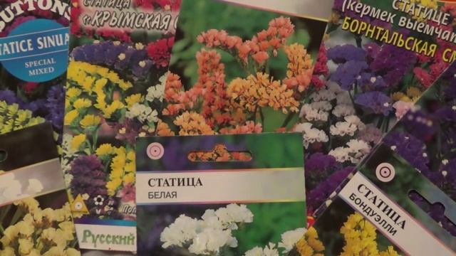 2193. Ещё один обзор различных цветов февральского посева. смотреть онлайн