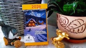 ПРОВЕРЯЮ ВСХОДЫ //ПОСЕВ НОВЫХ ЦВЕТОВ