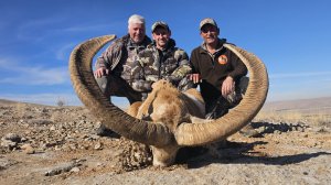 Охота Юрия Чичояна на Анатолийскую серну, Конийского муфлона и Прибрежного козерога в Турции 2025.