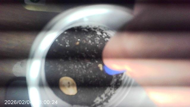 Вторая попытка посадки рассады кабачков. Теперь это: специальный грунт, сразу три семечки