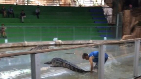 Опасный трюк, крокодил,