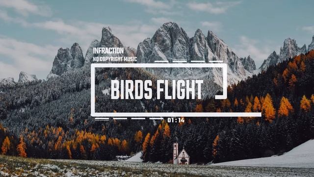 Cinematic Documentary Romantic by Infraction [No Copyright Music] ⧸ Birds Flight смотреть онлайн