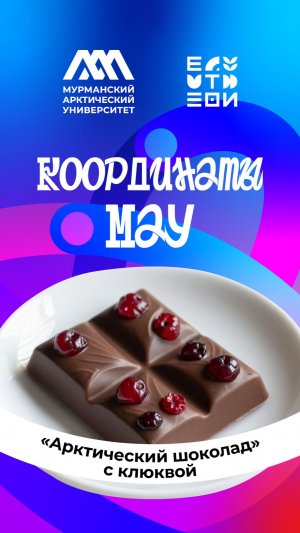 Арктический шоколад с клюквой и черникой