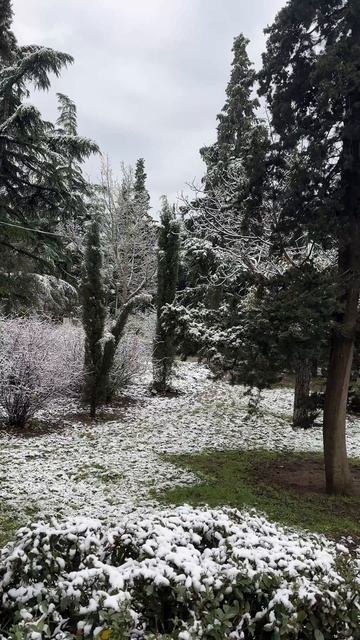 Крым. Ежедневная вебкамера Ялты. 4 февраля 2026 смотреть онлайн