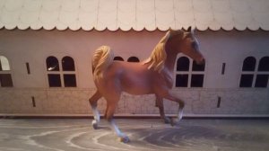 ребята, я вернулась(да, видео без обработки)