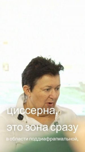 Лимфатическая цистерна - анатомия и функции