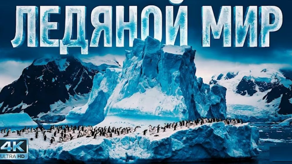АНТАРКТИДА. Чудо нашей планеты!