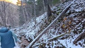 Месторождение минеральной воды Топольное. Бренд "Сахалинская"
