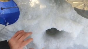 Рыбалка на жерлицы в Верх бобровке на запруде (√2)