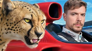 Гепард против самой быстрой машины и другие увлекательные соревнования. Мистер Бист