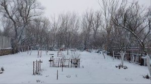 Пора на госпитализацию, а нас заметает.