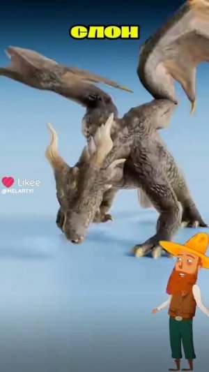 ахахаххахаха что это