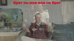 выпуск 22 (остатки сладки сериалы 25 - черный кролик)