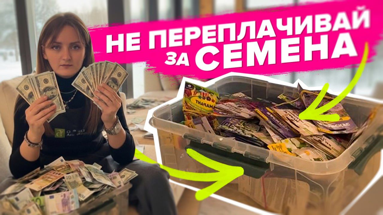 ДОРОГИЕ И ДЕШЕВЫЕ СЕМЕНА. В ЧЕМ РАЗНИЦА. ОБМАН смотреть онлайн