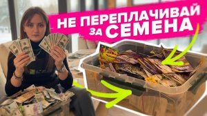 ДОРОГИЕ И ДЕШЕВЫЕ СЕМЕНА. В ЧЕМ РАЗНИЦА. ОБМАН