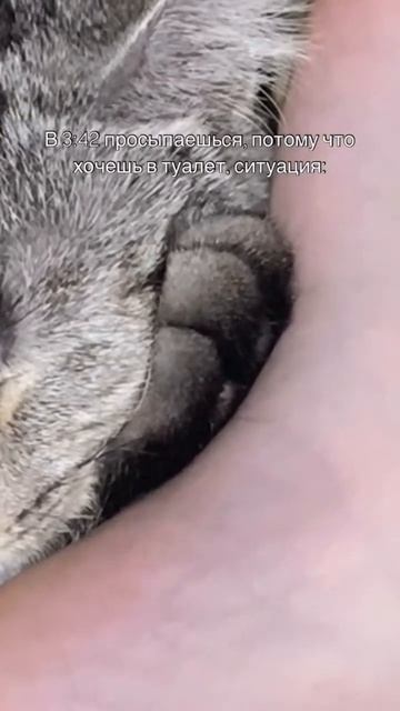 Знакомо! смотреть онлайн