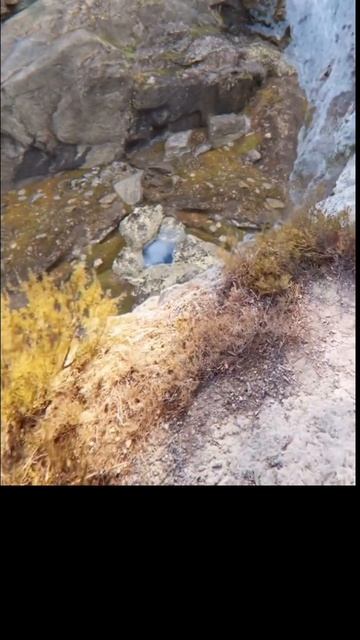 Метко смотреть онлайн