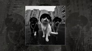 Это Радио - На мурмулях Официальная премьера трека