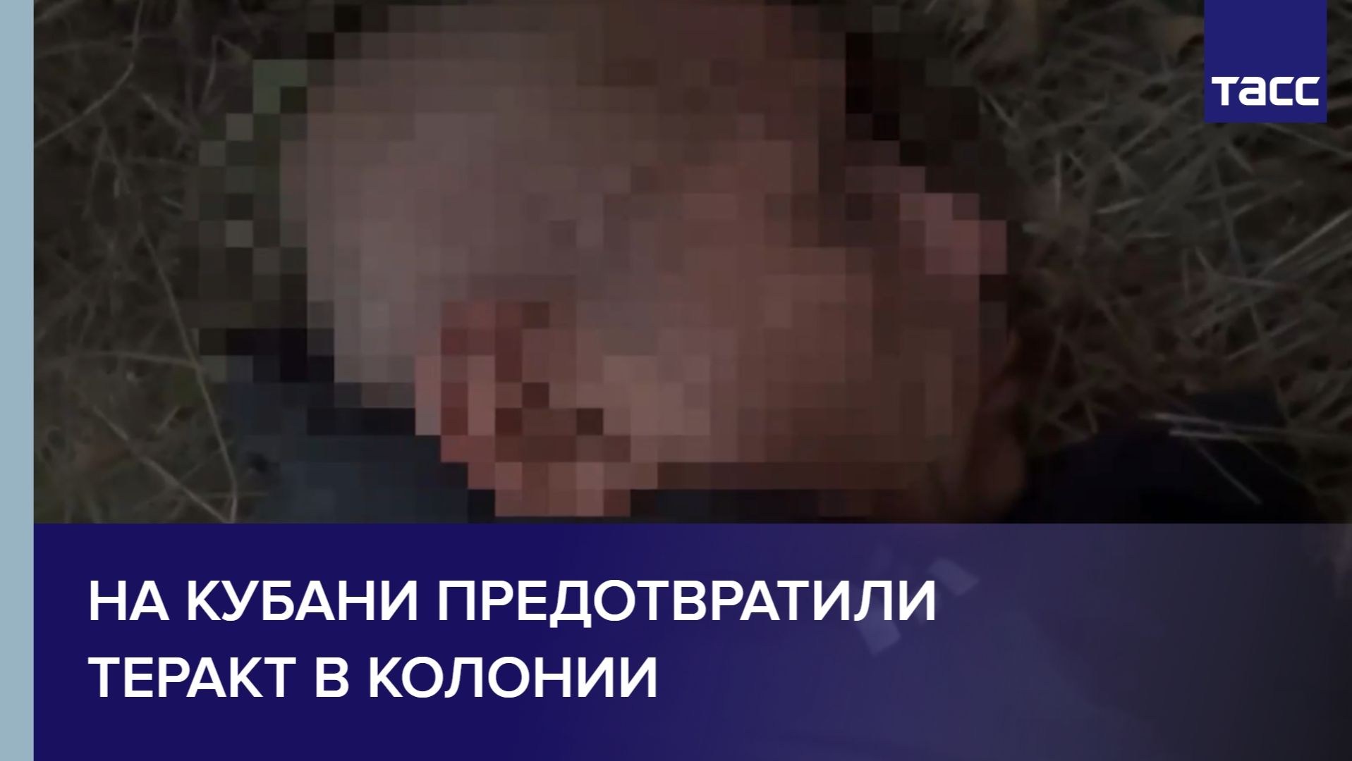 На Кубани предотвратили теракт в колонии смотреть онлайн