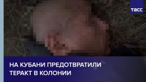 На Кубани предотвратили теракт в колонии