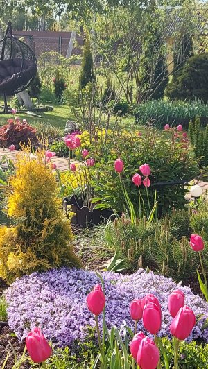 В предвкушении весны🌱🌸🪻🌞