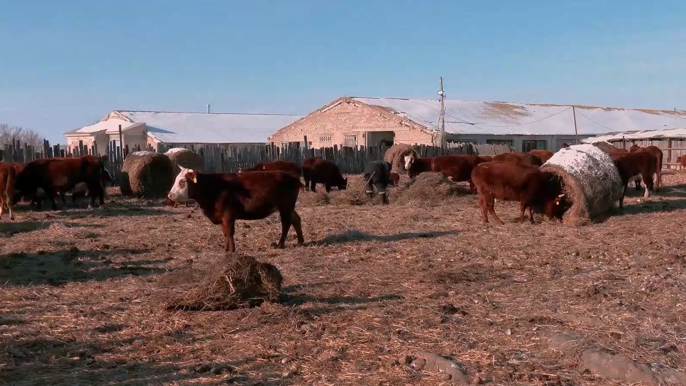 На своей земле. Агрокурьер