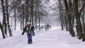 5 случаев обморожения в Мытищах – советы врача