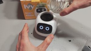 Умный горшок | Smart Plant Ivy | Реальный опыт