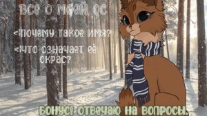 ﹤¦Все о моей ос! Большое спасибо за вопросы!