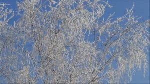 Собираю стихи.