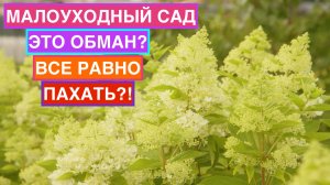 Почему малоуходный сад — это не миф, а вопрос правильного выбора?
