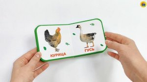 КНИЖКА МАЛЫШКА. ДОМАШНИЕ ЖИВОТНЫЕ