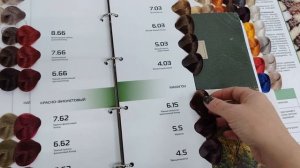 Капус Студио, знакомство с палитрой