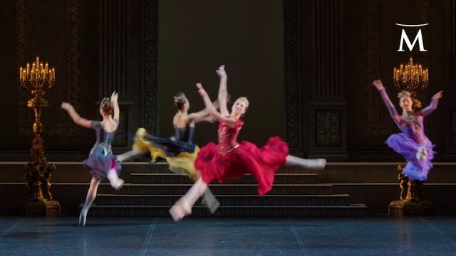 Лебединое озеро. Михайловский театр.