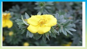 ФОТОГАЛЕРЕЯ. СЕЗОН 1