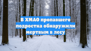 В ХМАО пропавшего подростка обнаружили мертвым в лесу