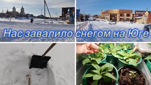 НАС ЗАВАЛИЛО СНЕГОМ, ОТМЕНИЛИ ЗАНЯТИЕ ,ЦЕНТР НАШ, МАГНИТ, КАК СЕЮ ПЕТУНИЮ